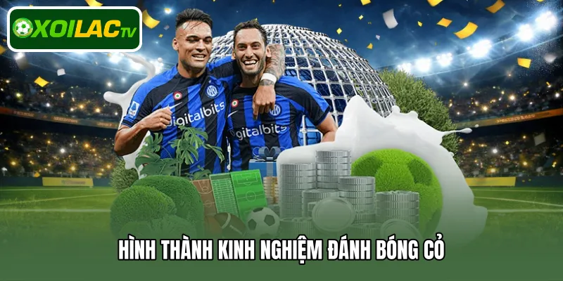 Hình thành kinh nghiệm đánh bóng cỏ 
