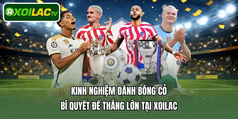 kinh nghiệm đánh bóng cỏ