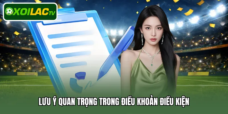 Lưu ý quan trọng trong điều khoản điều kiện