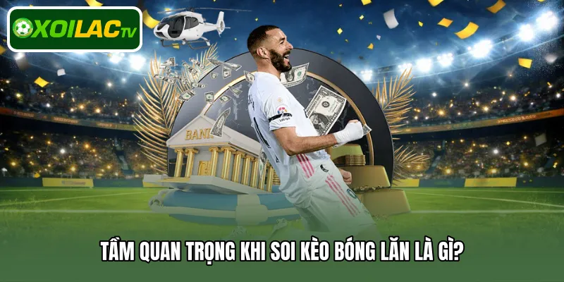 Tầm quan trọng khi soi kèo bóng lăn là gì?
