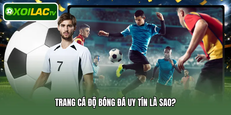 Trang cá độ bóng đá uy tín là sao?
